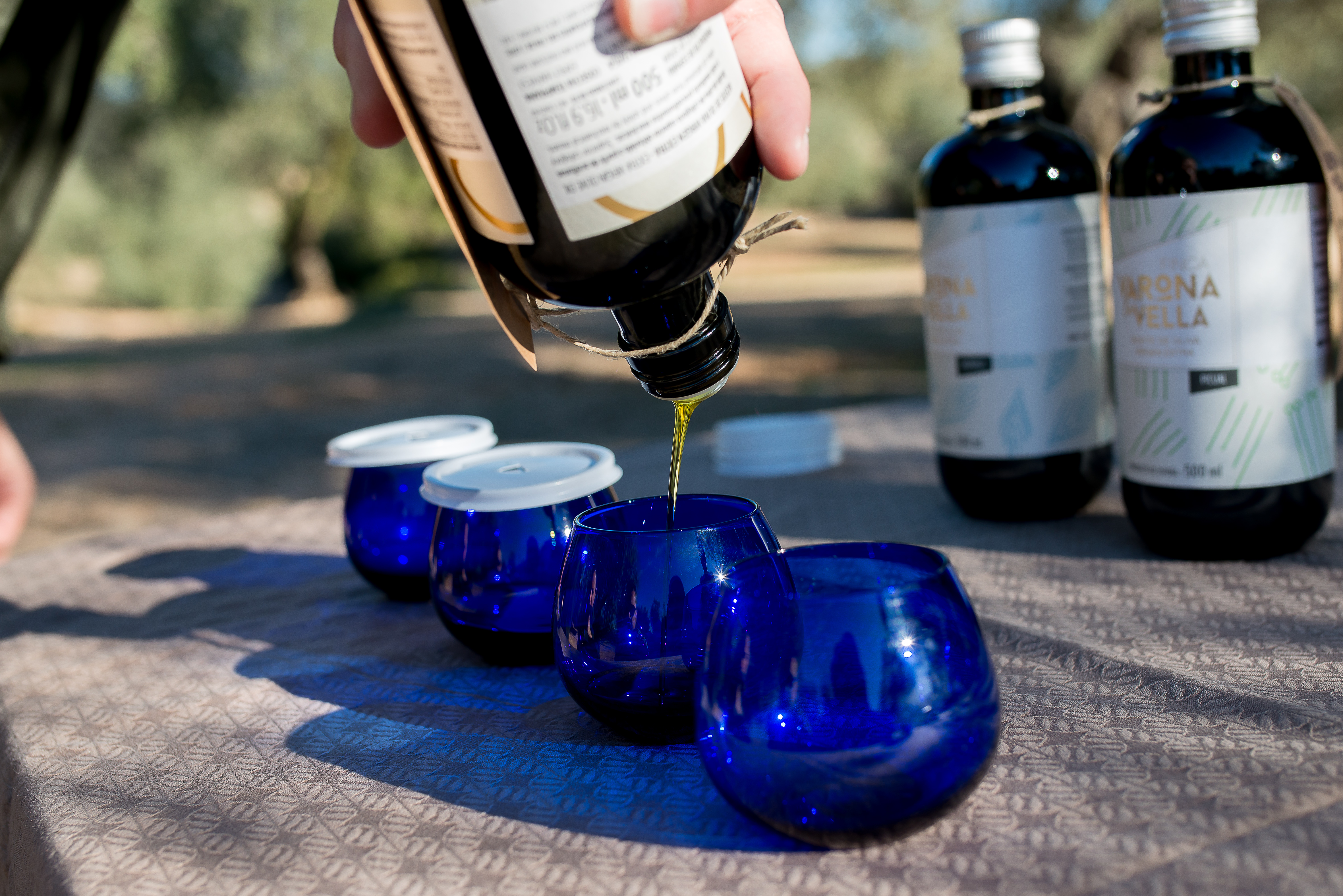 Vuelve la guía con los mejores AOVE de la Comunitat