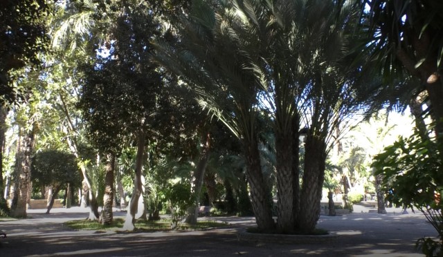 El futuro Palacio de Congresos de Elche