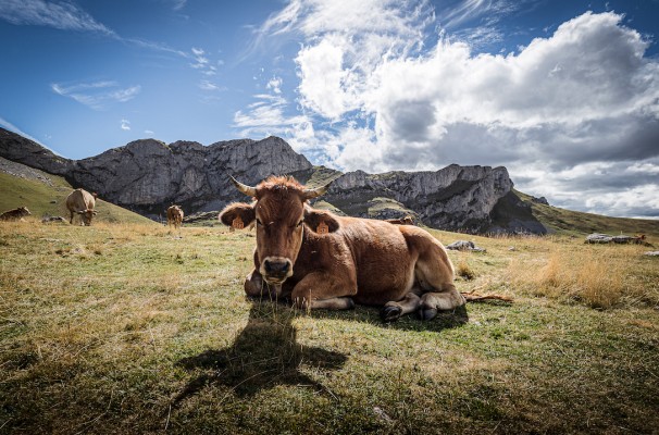 Los lagos de Saliencia, Asturias en su máximo esplendor