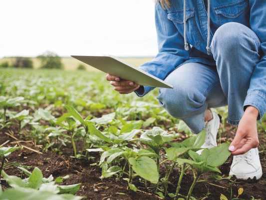La competitividad y sostenibilidad de las explotaciones agrícolas y ganaderas pasa por su transformación digital