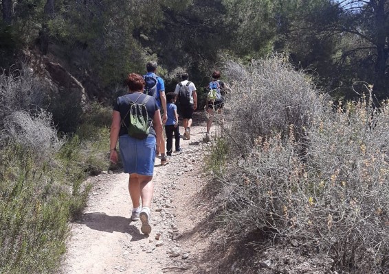  Castelló celebra el Día del Medio Ambiente con una ruta y una replantación en la Magdalena