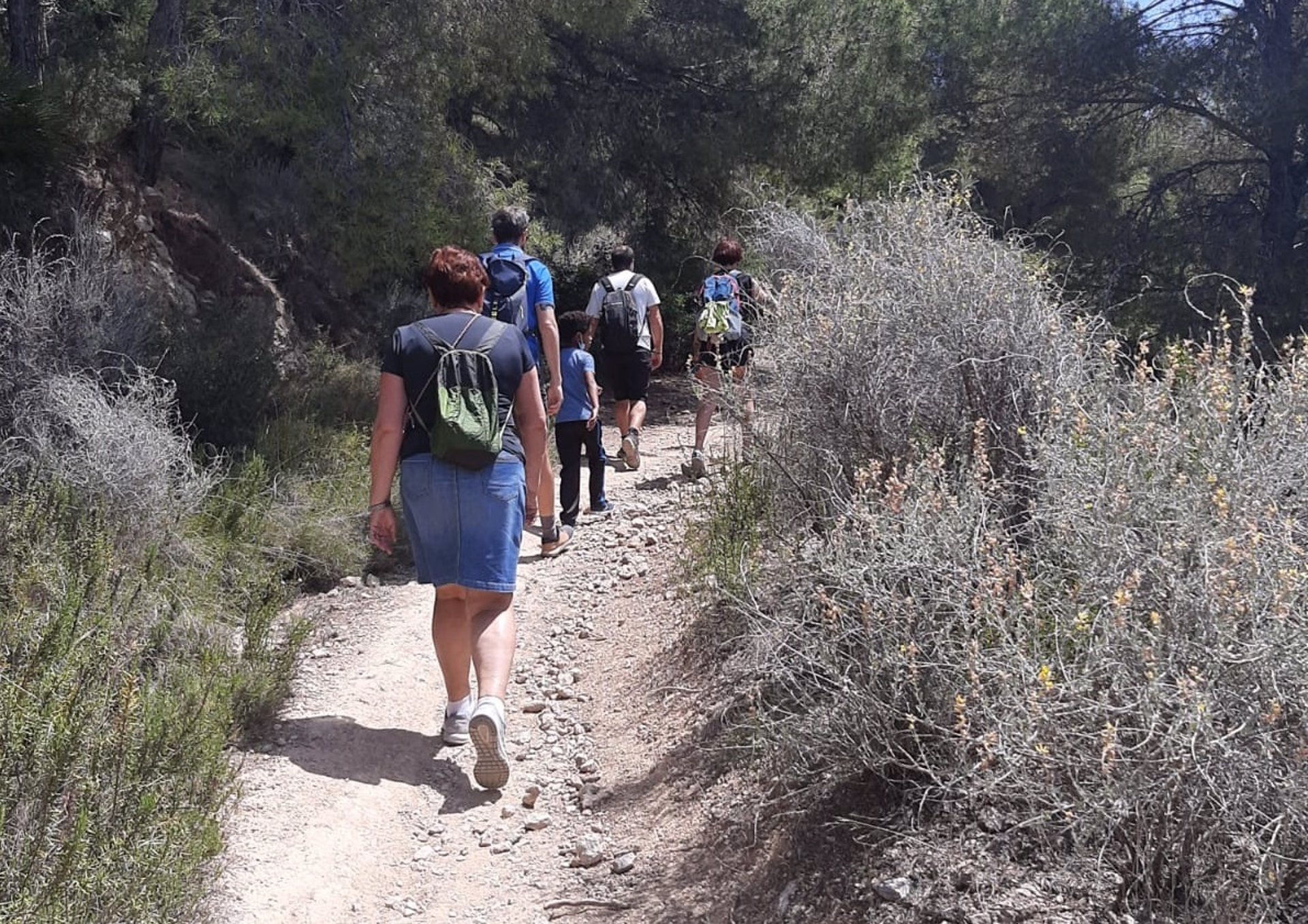  Castelló celebra el Día del Medio Ambiente con una ruta y una replantación en la Magdalena