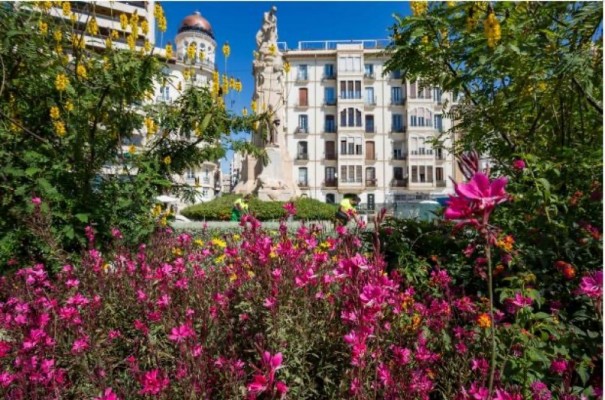 El Ayuntamiento coloca nueva arquitectura floral en varias zonas de Alicante