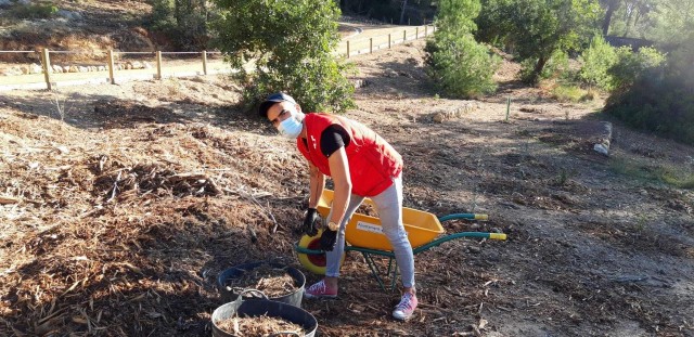 Cruz Roja, hacia la neutralidad climática: compensa su huella de carbono con acciones de reforestación 