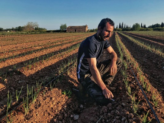 Transición Ecológica lanza un concurso fotográfico para 