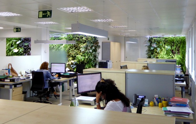 El laboratori que recupera la natura a les ciutats... està a Alacant