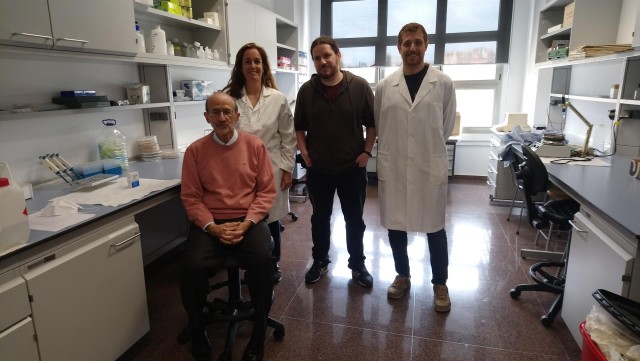 Descubren que las células 'cuidadoras' de los espermatozoides son capaces de renovarse