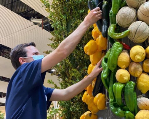 Un comedor social de Madrid recibe los 1.500 kilos de frutas y verduras de la Región en 'Madrid Fusión'