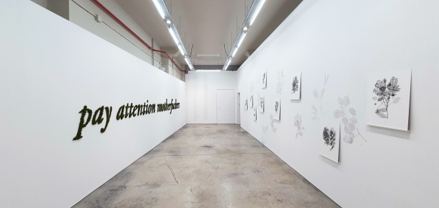 The Liminal y Gabinete de Dibujos se suman a Abierto València 2021