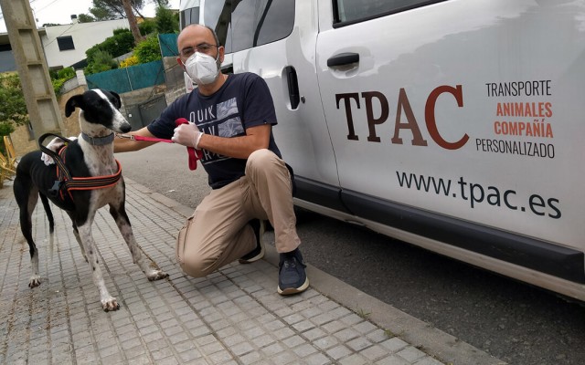 TPAC: una 'startup' para el transporte personalizado de larga distancia para animales de compañía