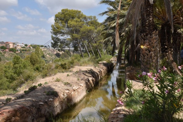 Elche limpia la Acequia Mayor del Pantano dentro del convenio con la Comunidad de Propietarios
