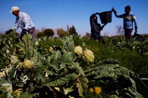 Las nuevas exigencias de la política agraria común pueden excluir a parte de los agricultores valencianos