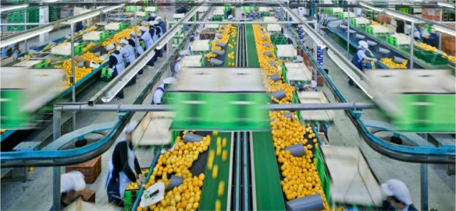 GPF Capital integra a la murciana Frugarva y reestructura la dirección del grupo