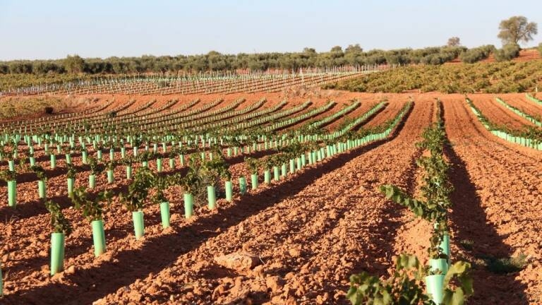 Inquietud en el campo español por el bloqueo de la PAC y su 