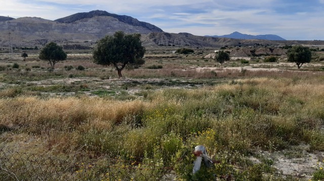 Ecologistas y vecinos alegan contra una planta de residuos de la construcción en Fontcalent