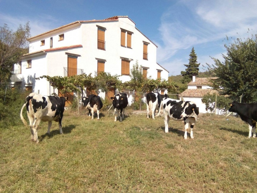 Las aulas de 'Mas de Noguera' están en contacto permanente con la naturaleza. - 