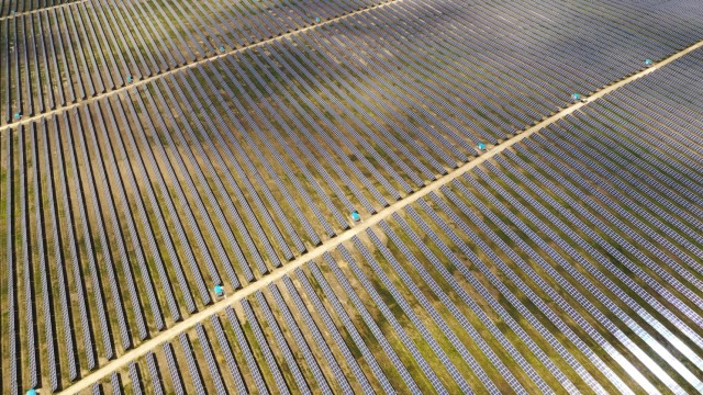 Cartagena suspenderá las licencias de obra para instalación de plantas fotovoltaicas hasta regular su impacto