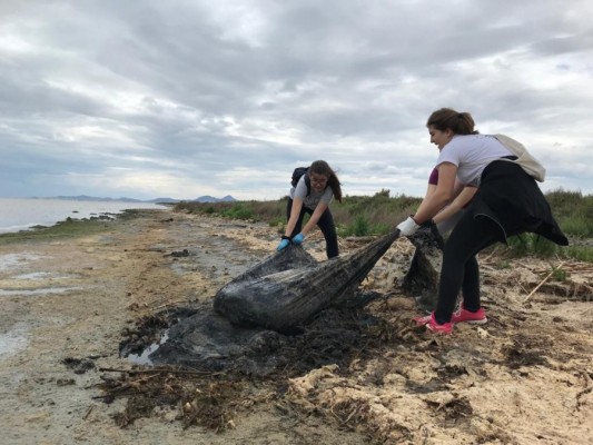 La Isla Perdiguera compite junto a once playas para acoger una jornada de recogida de residuos