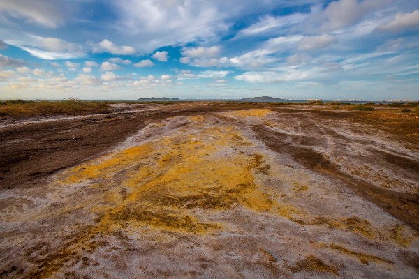 Imágenes sobre raíles: viajando 'De la Sierra Minera... al Mar Menor'