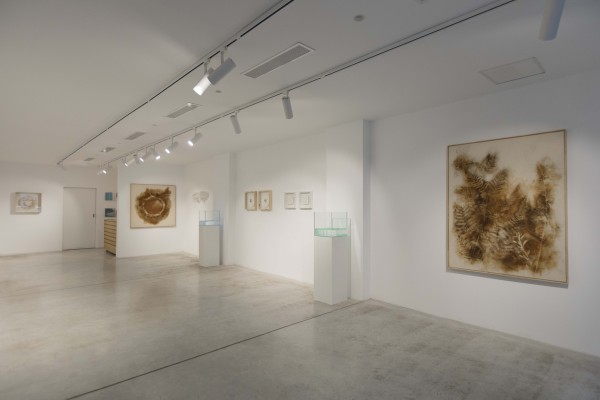Elena Martí reflexiona sobre la degradación de la naturaleza galería Vangar