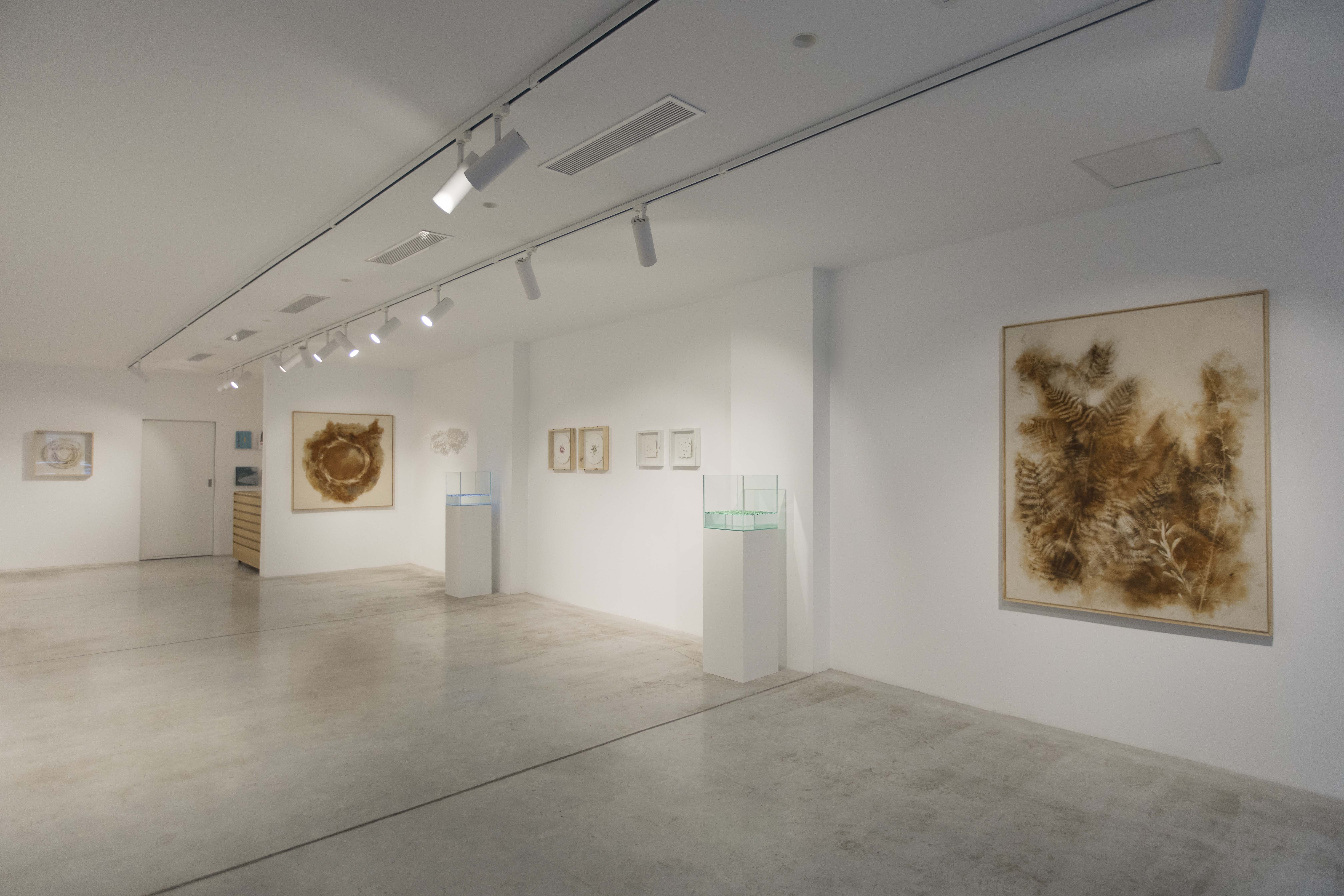 Elena Martí reflexiona sobre la degradación de la naturaleza galería Vangar