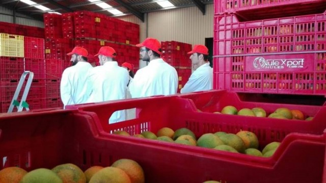 La cooperativa Cipla absorbe a Nulexport