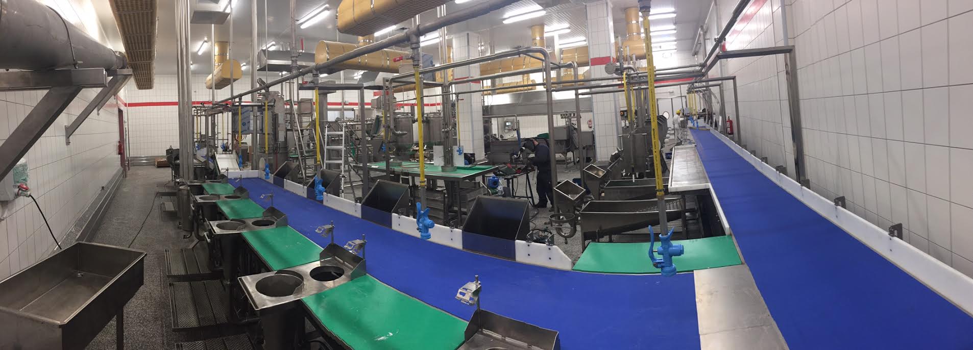 DAT-Schaub y Vicente Gallent crean una sociedad conjunta para la producción de tripa de cerdo 