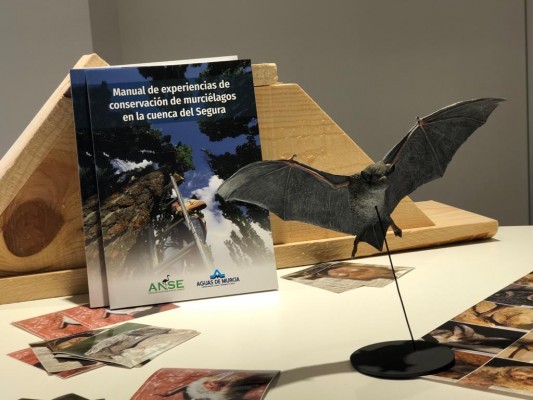 Todo sobre los murciélagos 'murcianos': publican un manual para su conservación en la cuenca del Segura