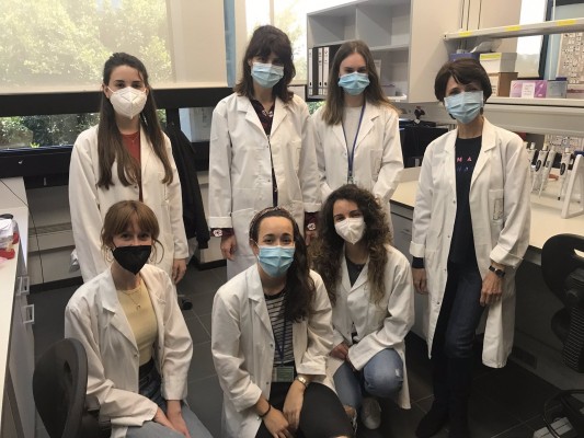 El CSIC desarrolla un probiótico que previene y trata la obesidad y las enfermedades metabólicas asociadas