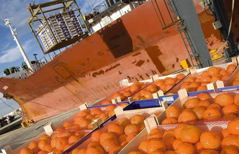 El hemisferio sur espera exportar un 20% más de mandarinas este año, con Sudáfrica a la cabeza