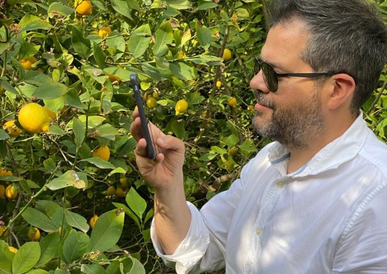 La APP con tecnología 100% murciana que está a punto de revolucionar el mundo de la agricultura