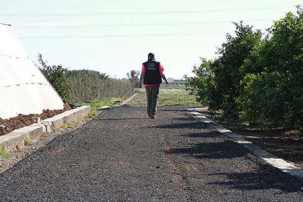 Puçol contratará a 59 trabajadores agrícolas desempleados con una inversión de 165.000 euros
