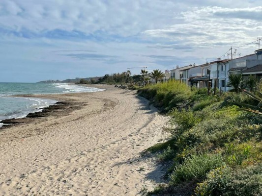 Compromís pide al Gobierno que paralice el proceso de recuperación de Torre la Sal