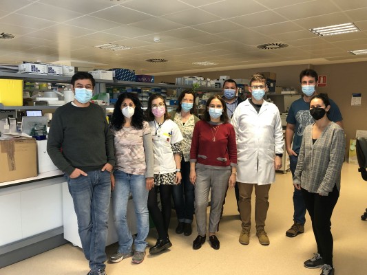 El IMIB detecta una alteración genética asociada a la
progresión de cánceres poco comunes