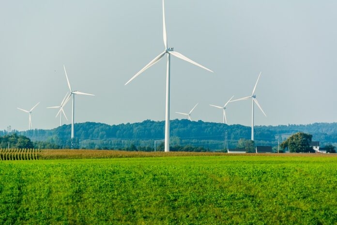 Un futuro verde