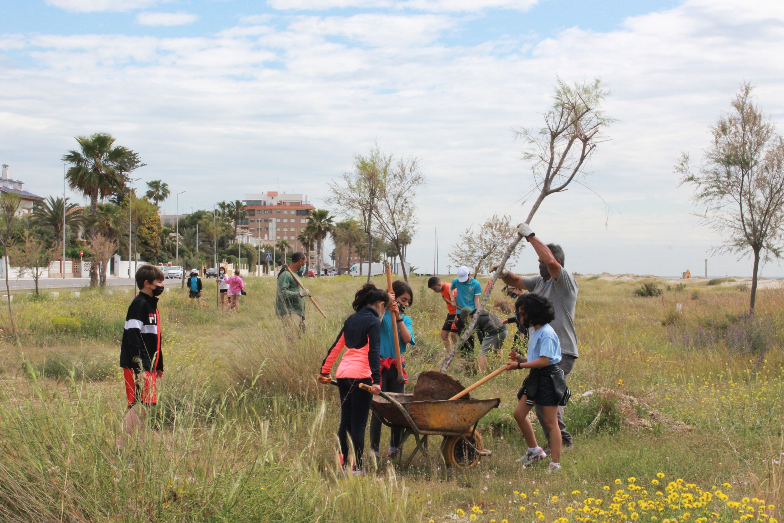 Escolares participan en la plantación de árboles en la zona costera de Burriana