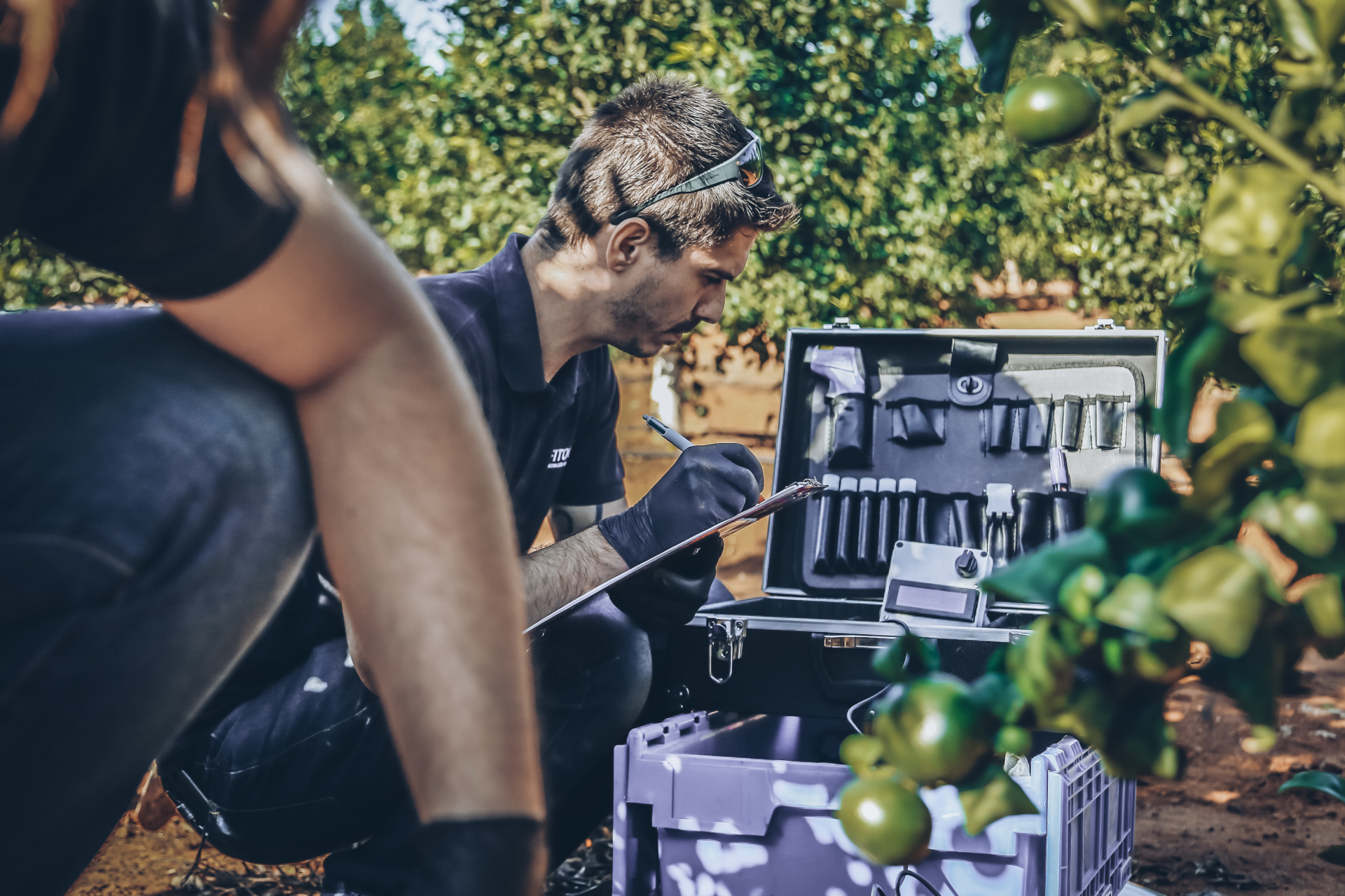 Foto: GRUPO FITOGAR - 