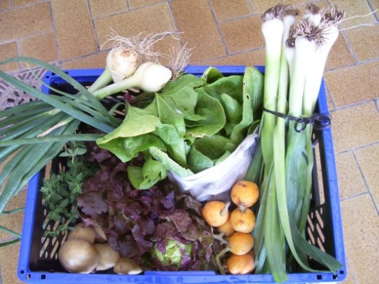 Una iniciativa que surte de cestas de productos de temporada en Orihuela: A Pleno Sol