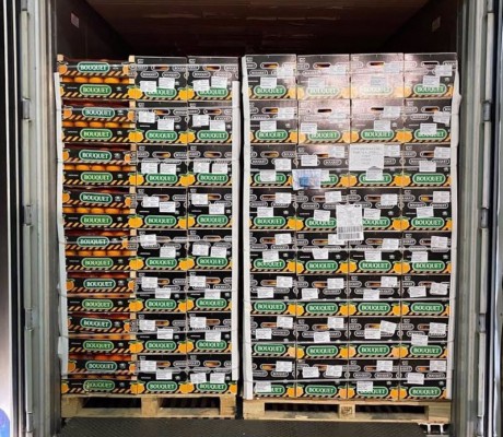 Anecoop abre vía comercial con Perú al enviar el primer contenedor de naranjas desde España