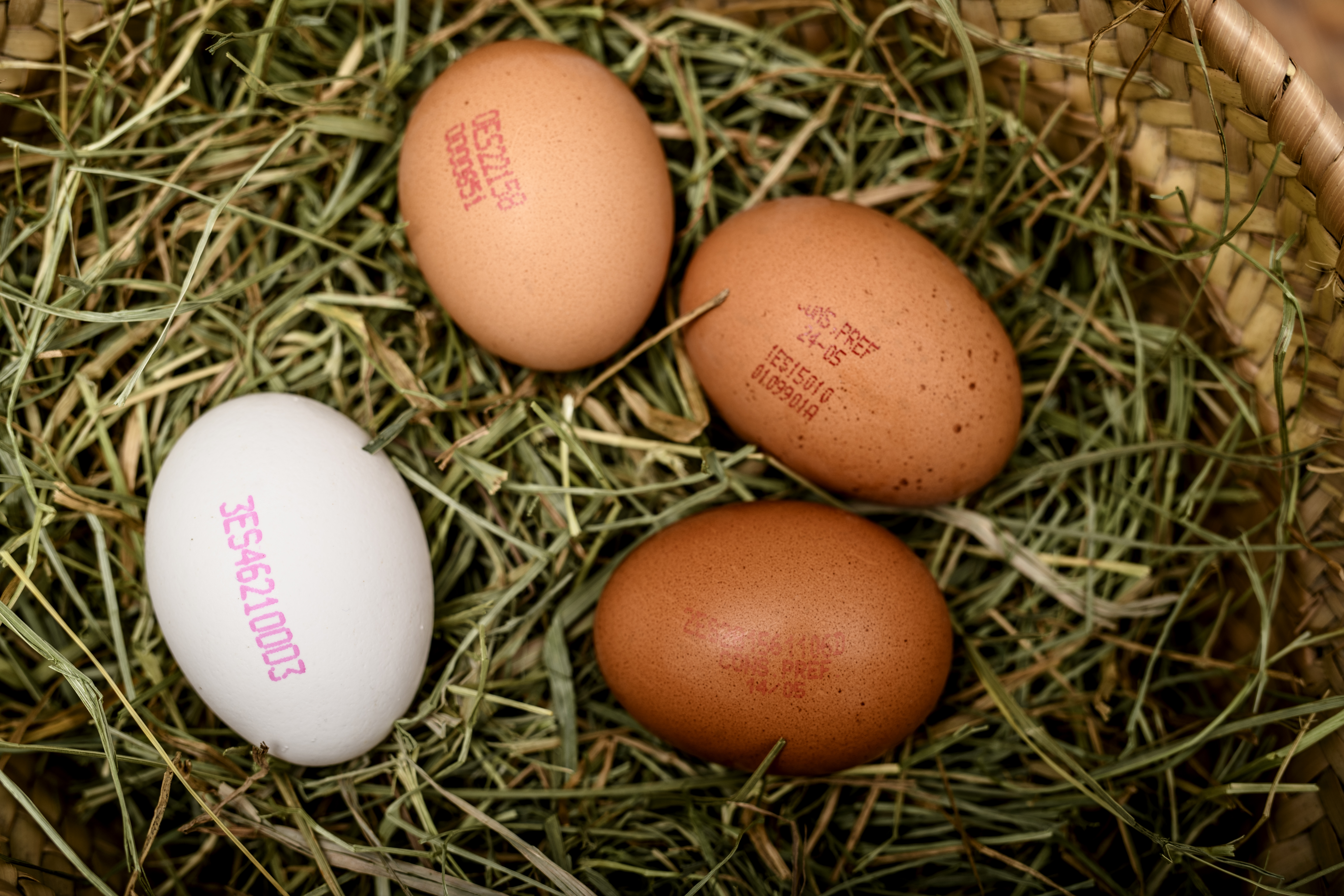 Lo que esconde la numeración de los huevos. ¿Cuál es el más sostenible?
