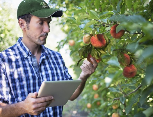 Anecoop, la sostenibilidad encuentra su lugar en la estrategia agraria 