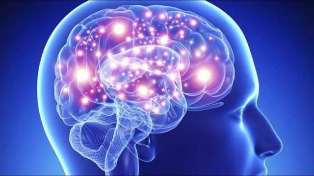 Tener estudios superiores no hace más lento el envejecimiento del cerebro
