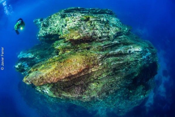 La Armada sondeará los fondos Cabo Tiñoso e Islas Hormigas para elaborar una guía de inmersión de la reserva 