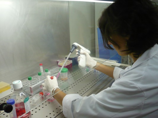 Cuatro profesionales del Hospital General de Elche en el listado de mejores investigadores españoles de Google