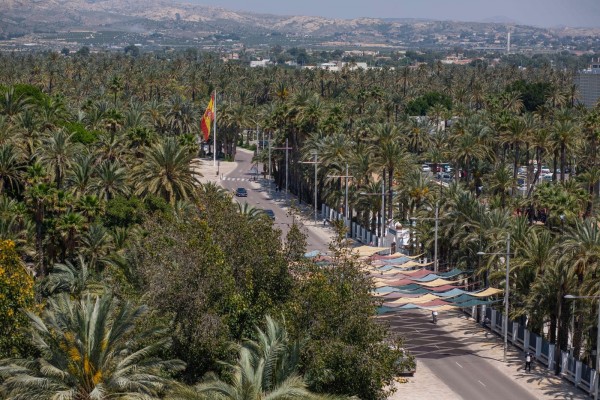 La Ley del Palmeral 
