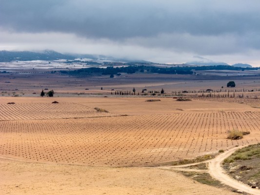 Los macroproyectos solares de Jumilla, Cartagena y Mula se topan con el rechazo de ayuntamientos y ecologistas