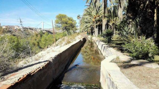 Elche solicita al Gobierno una ayuda para externalizar un plan para mejorar la red de riego del Palmeral 

