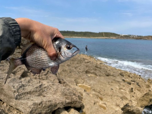 La apuesta por la pesca deportiva le vale a Wefish el premio Emprendedor XXI