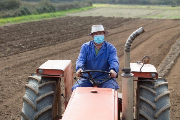 El Gobierno revisa con las CCAA el protocolo de actuación para prevenir brotes en el sector agrario