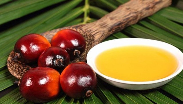 Cerca del 50% de los productos procesados utilizan aceite de palma